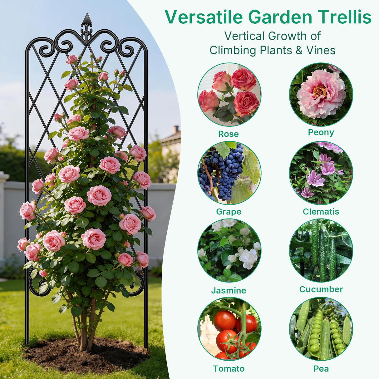 Amagabeli 2 Pack Garden Trellis for Climbing Plants 60" x 18" Rustproof Black Iron Potted Vines Vegetables Vining Flowers Patio Metal Wire