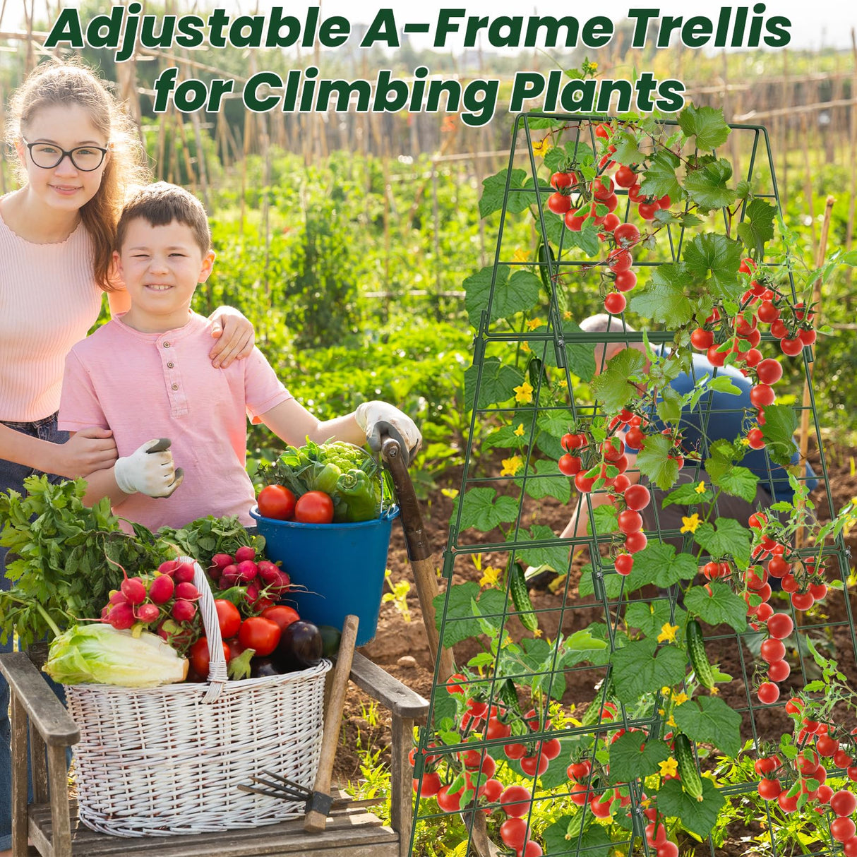 Adjustable A-Frame Trellis for Climbing Plants Outdoor, 48"x32" Cucumber Trellis for Raised Bed, Metal Garden Trellis with Grid Design, Tomato, Grape, Bean, Pea, Squash, Vegetable Trellis (Green)