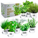 Deluxe Indoor & Outdoor Herb Garden Kit – 8 or the Most Popular Culinary Herbs with Pots & Soil for Windowsill or Patio Growing