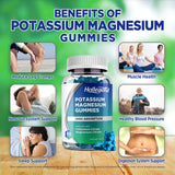HOLLEGEND Potassium Magnesium Gummies, High Absorption Potassium Citrate 99mg Magnesium Citrate 180mg, Chewable Gummy Supplements for Leg Cramps & Muscle, 120 Count