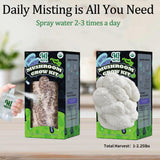 Organic Mushroom Growing Kit, Lion's Mane Mushroom Grow Kit with All Accessories, Grow Fresh Edible Mushrooms Indoor, USDA Certified Organic, Non-GMO, Easy to Grow at Home