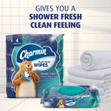 Charmin Flushable Wipes, 480 Total Wipes (12 Packs of 40)