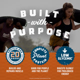 CLIF BUILDERS Protein Bars - Chocolate Peanut Butter Flavor - 20g Plant Based Protein - Gluten Free - Non-GMO - Low Glycemic - No Artificial Sweeteners - Value Pack, 2.4 oz. (12 Count)