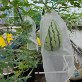 Belit 10Pcs 23.6"x15.7" Garden Netting pest Barrier Tomatoes Protection Bags Large Size Nylon Mesh Reusable Fruit Bags for Protecting Fruits Vegetables