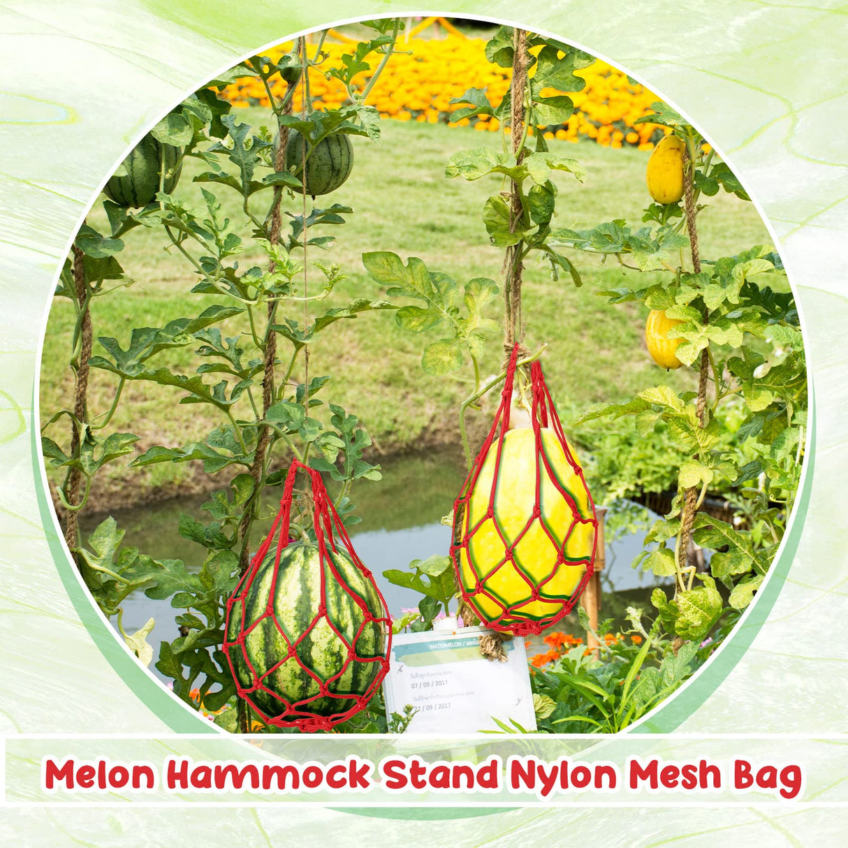Nuenen 6 Pcs Watermelon Net Melon Hammock Melon Cradle Plant and Garden Supports Pumpkin Support Hanging Bag Protects Watermelons, Honeydew, Squash, Cantaloupes (Red)