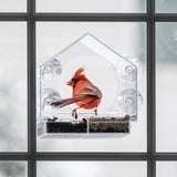 Window Bird Feeder with Strong Suction Cups, Bird Feeders for Outdoors