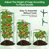 Lezmarket 3 Pack Tomato Cages for Garden, Tomato Trellis for Raised Garden Bed with Plant Clips and Twist Ties for Climbing Plants, 43 inches