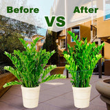 HiGift Plant Support Stakes, 6 Pack Metal Peony Cages and Supports, Garden Stakes Plant Support Cage, Large Plant Support Ring for Outdoor Indoor Snake Plant Peony Rose Flowers Vine (10" W x 15.8" H)
