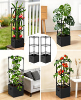 2PCS Dragon Fruit Trellis for Climbing Plants Indoor Outdoor, Heavy Duty Metal Adjustable Vertical Garden Support for Indoor Outdoor Potted Plants, Tomato, Cactus, Roses,Vines(12 * 12 * 47inch,2PC)
