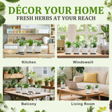 10-Set Indoor Herb Garden Starter Kit, 7 Seeds Growing into Basil, Parsley, Thyme, Mint, Cilantro, Dill, Oregano Including 10 White Pots, Markers, Nutritional Soil, Ideal Christmas Gifts for Women