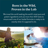 Nature's Sunshine Lymphatic Drainage, 2 Fl. Oz | Lymphatic Drainage Supplement Promotes The Efficient Drainage of The Lymphatic System to Promote Overall Health