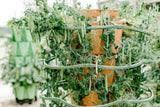 Greenstalk Set of 3 Plant Supports for Growing Tomatoes, Cucumbers, Peppers, Eggplant, and Squash Vertically in a Vertical Planter