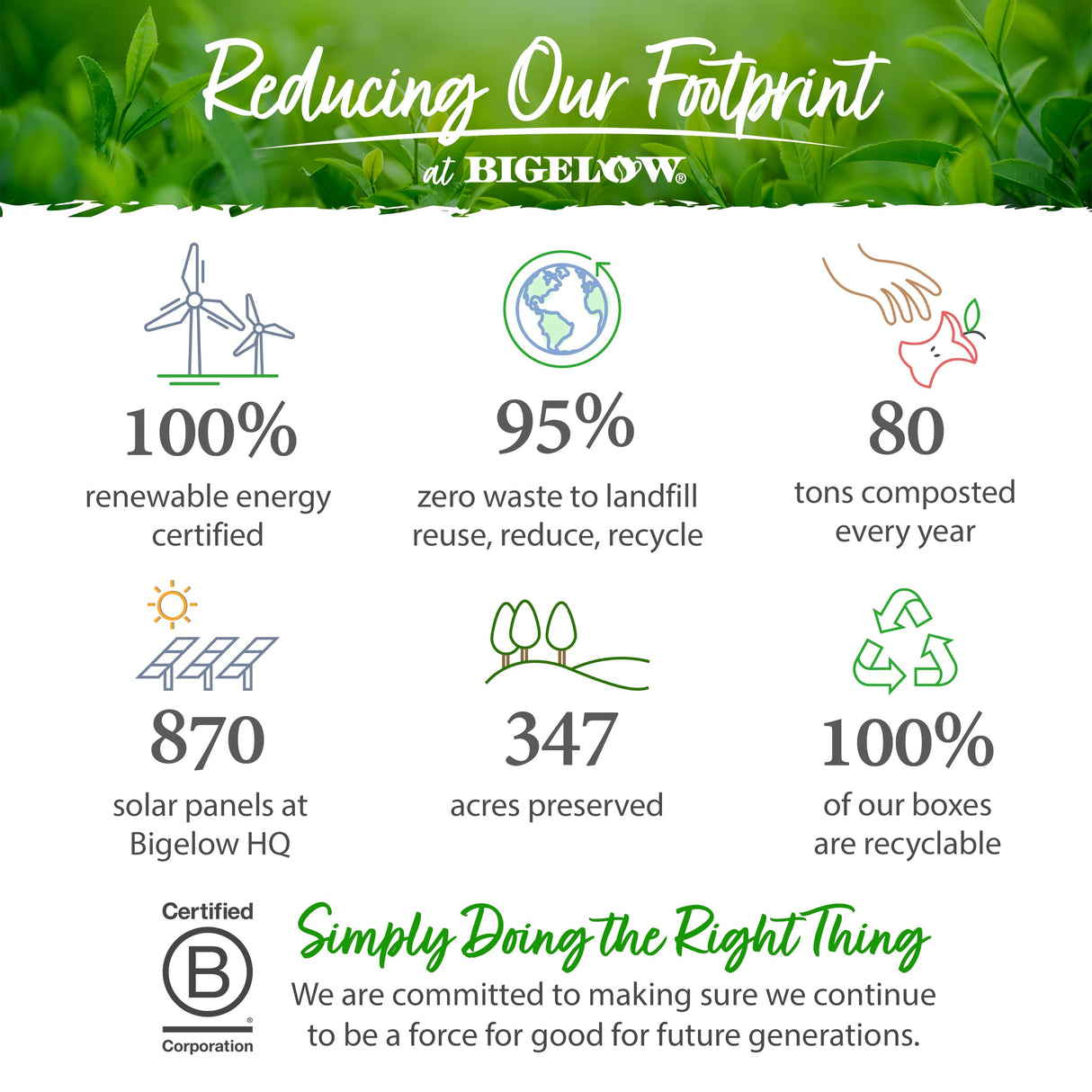 Bigelow Tea Salted Caramel Black Tea, Caffeinated Tea with Caramel and Salt, Holiday and Christmas Tea, 18 Count Box (Pack of 6), 108 Total Tea Bags