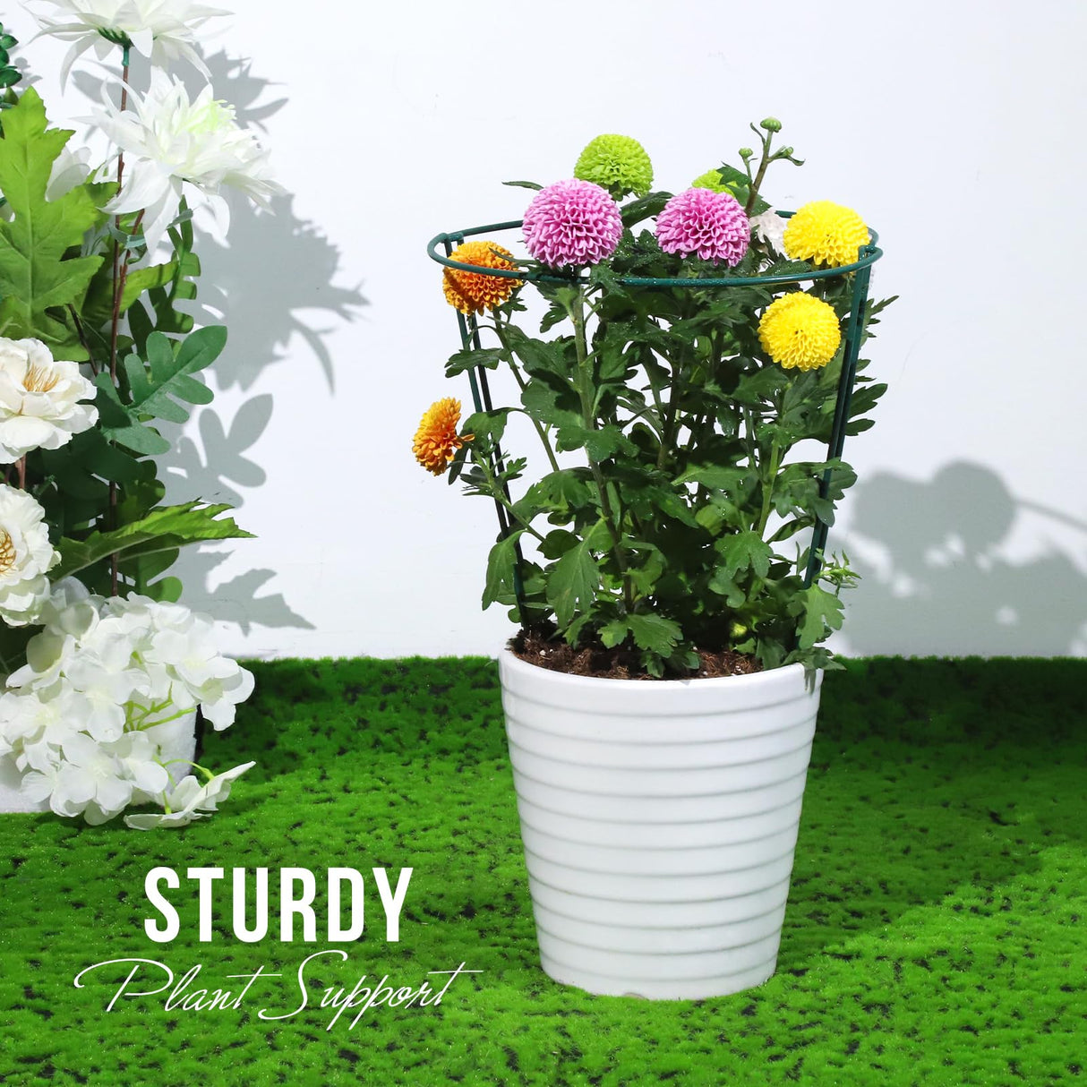 LEOBRO Plant Support, 8PCS Peony Cages and Supports, Plant Stakes for Indoor Plants, Outdoor Plants, Metal Garden Stakes, Plant Holders, Tomato Monstera Hydrangea Support Cage, 10" W x 15.8" H
