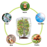 4 Pcs Insect Bird Barrier Tree Net with Drawstring, 4.9 x 3.2 Ft Garden Bird Netting Plant Cover, Fruit Tree Netting for Protect Plants Fruits Flowers from Insect Bird Eating