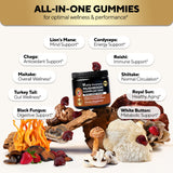 VitaUp Mushroom Gummies for Adults - USA Made 10 in 1 Mushroom Supplement - Mushroom Complex with Lions Mane, Cordyceps, Turkey Tail, Reishi, Shiitake for Cognitive & Immune Support - 60 Count