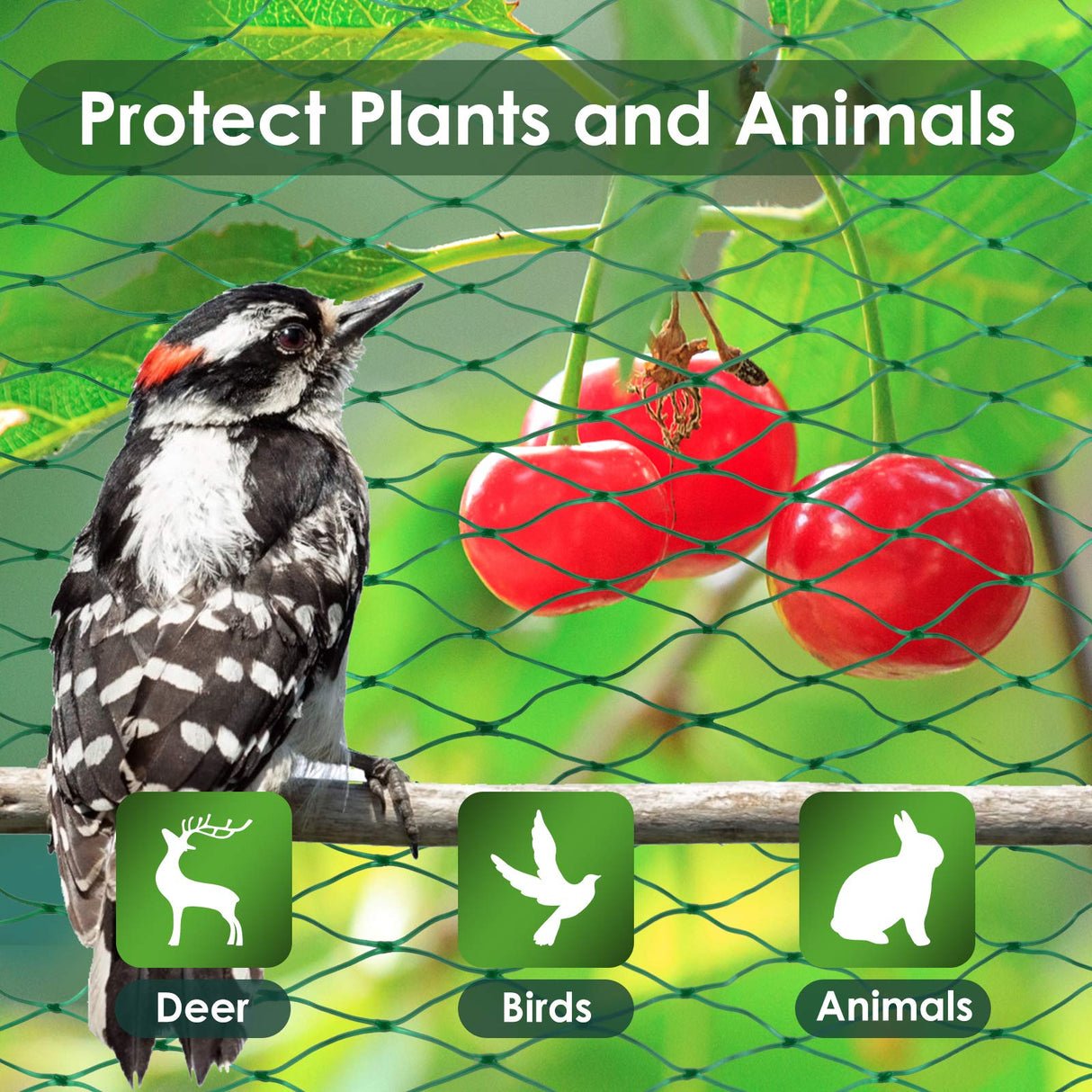 Ruolan Bird Netting for Garden Protect Vegetable Plants and Fruit Trees13X82Ft,Plastic Trellis Netting for Birds, Deer,Squirrels and Other Animals