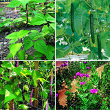 HHTHH White Trellis Netting 5x100 ft Heavy Duty Garden Trellis Netting Polypropylene Plant Support Garden Net for Climbing Vegetables Fruits Flowers