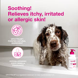 Douxo S3 Calm Dog Shampoo for Itchy Skin Relief, Dog Shampoo for Allergies and Itching, Soothes Itchy, Irritated or Allergic Skin For Dogs and Cats, 6.7 fl oz