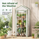 Bamworld Greenhouse for Outdoors Small Plant Green House 3-Tier Rack Stand Portable Greenhouses with Durable PE Cover for Seedling Ideal Gardening Gifts for Women Plants Lover