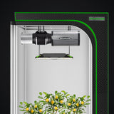 MELONFARM 6" Air Carbon Filter Smelliness Control with Australia Virgin Charcoal, Odor Removal Carbon Filter for Grow Tent, Inline Fan, Hydroponics, Pre-Filter Included, Insulated Flange 6" x 12"