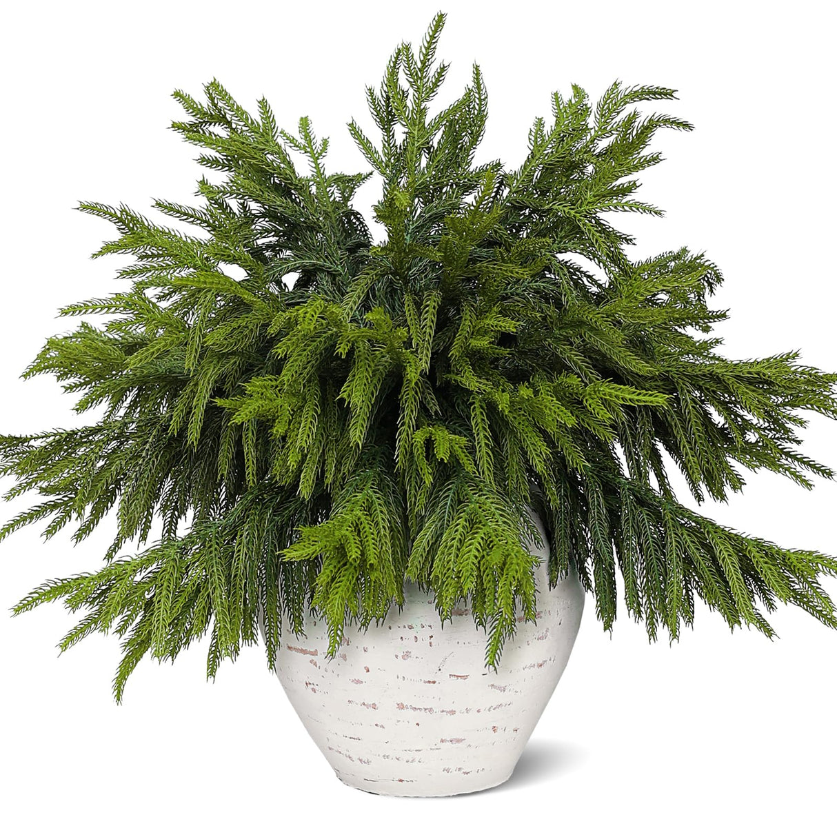 Juxdp 20 Pcs Real Touch Norfolk Pine Branches, Artificial Christmas Green Plants Branch Faux Greenery Stem Fake Pine Picks for Vase DIY Crafts Garland Wreath Xmas Indoor Outdoor Decor(18 Inches)