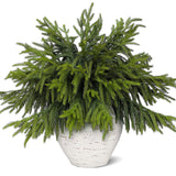 Juxdp 20 Pcs Real Touch Norfolk Pine Branches, Artificial Christmas Green Plants Branch Faux Greenery Stem Fake Pine Picks for Vase DIY Crafts Garland Wreath Xmas Indoor Outdoor Decor(18 Inches)