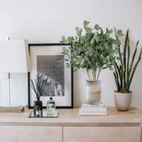 Sggvecsy 6 Pcs Eucalyptus Leaves Artificial Eucalyptus Stems Long Silver Dollar Leaves Faux Leaf Branches Fake Silk Eucalyptus for Spring Summer Home Festival Thanksgiving Christmas Decor (Green)