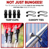 FORTEM Bungee Cord Assortment, 32pk Bungee Cords Multi Pack, Includes 10", 18", 24", 32", 40" Bungees and 8" Canopy/Tarp Ball Ties, Plastic Coated Metal Hooks