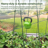 iGreely Cucumber Trellis for Raised Bed, U-Shape Garden Arch Metal Support for Climbing Plants, Metal Arch Vegetables Trellis, Plant Support for Vine (Green, 69.3" L×30" W×47.2" H)