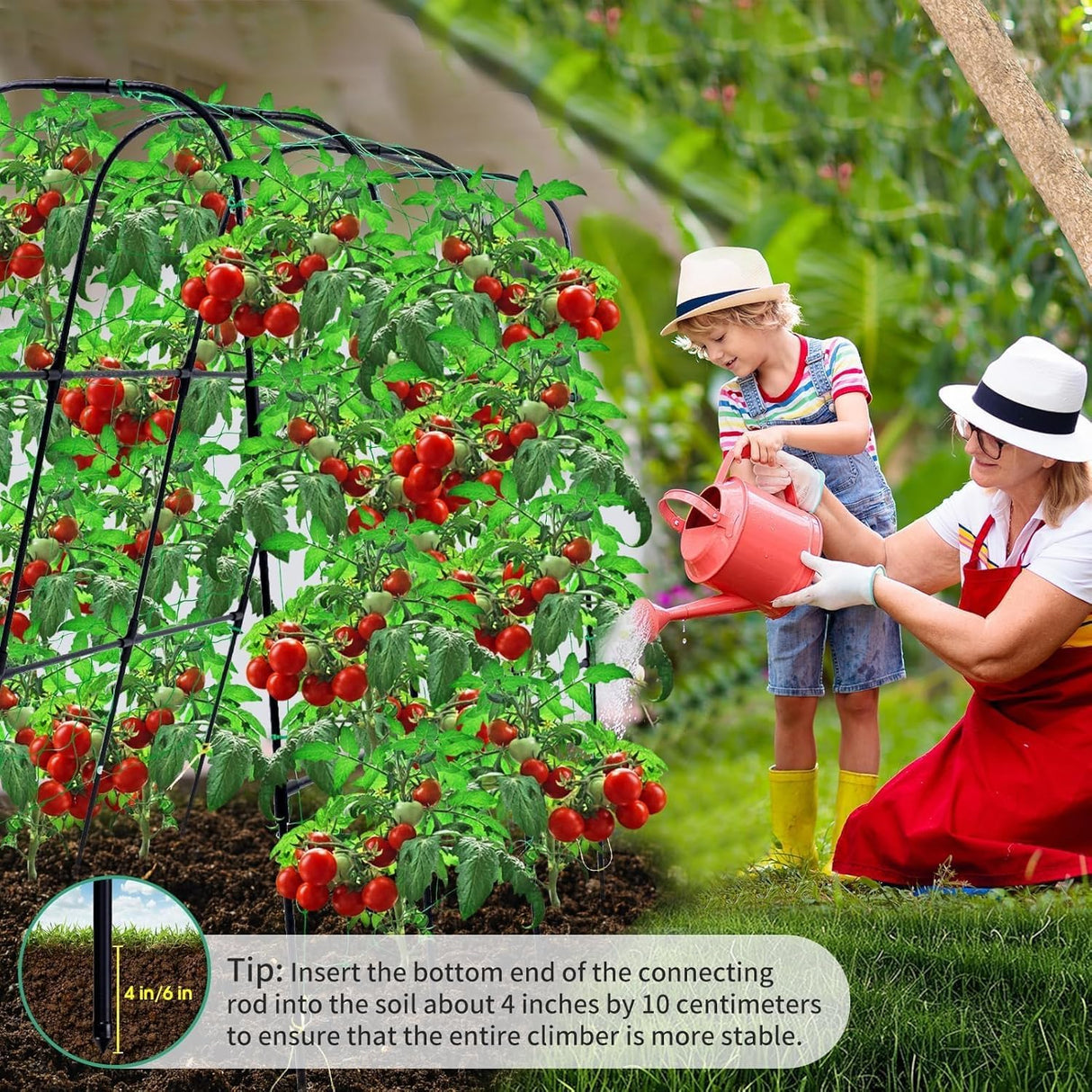 50"x48"Cucumber Trellis, Garden Arch Trellis for Climbing Plants Outdoor