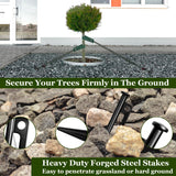 Tree Stakes and Supports, Heavy Duty Tree Stakes Kit Include 3Pcs Tree Straps for Staking, 3Pcs 16" Steel Spikes, and 39Ft Rope, Tree Supports for Young Tree Anti Strong Wind, Bad Weather