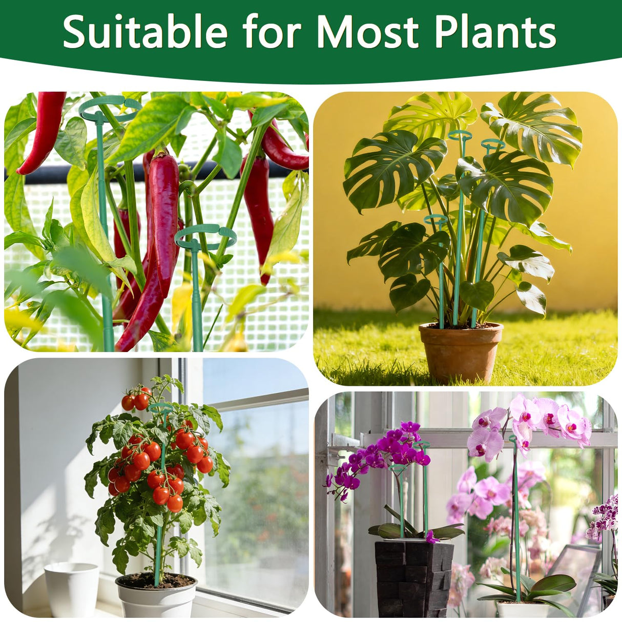 Telescoping Monstera Plant Stakes, 12.5-48.4IN Indoor Plant Support- 7Pack