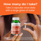 INFINITE AGE 2 Pack of 1250mg Sea Moss Advanced Superfood Capsules, 120 Count - High-Potency, Vegan, Made in The USA - Irish Seamoss, Bladderwrack, Burdock Root - Overall Health, Immunity Support