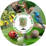 afzdby Garden Mesh Netting with Drawstring,Plants Cover Protection from Anti Birds,Bugs,Cicadas,and Insects-Pest Barrier Bag for Blueberry Bushes,Citrus,Tomatoes,Vegetables,Fruit Tree and Orange