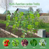 2PCS Cucumber Trellis for Climbing Plants Outdoor, Garden Trellis for Raised Bed Garden,Vegetable Grow Supports with Climbing Net for Tomato Bean Squash, Grape Zucchini (2PCS)