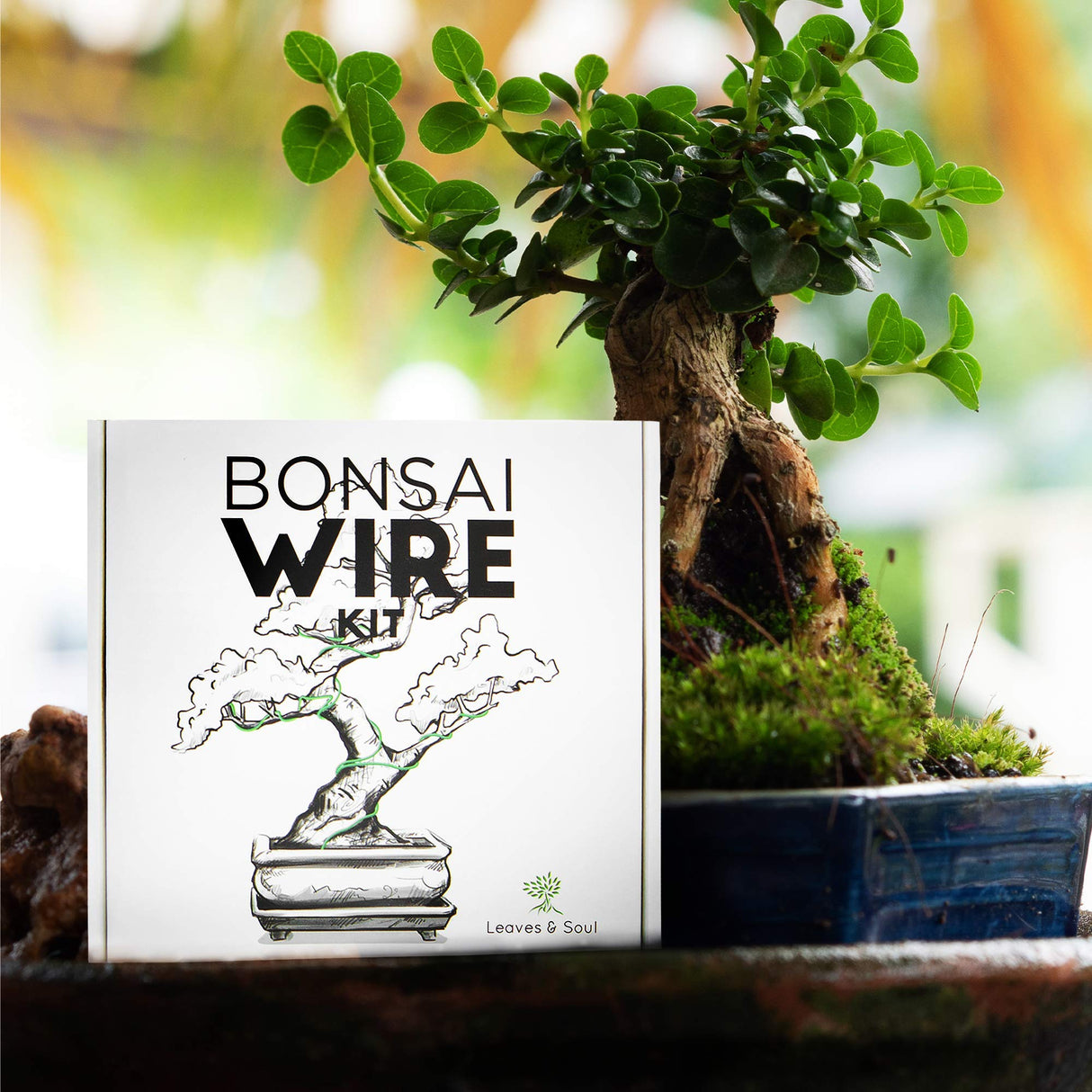 Leaves & Soul Bonsai Wire Kit with Cutter, Bonsai Training Wire Set 160ft