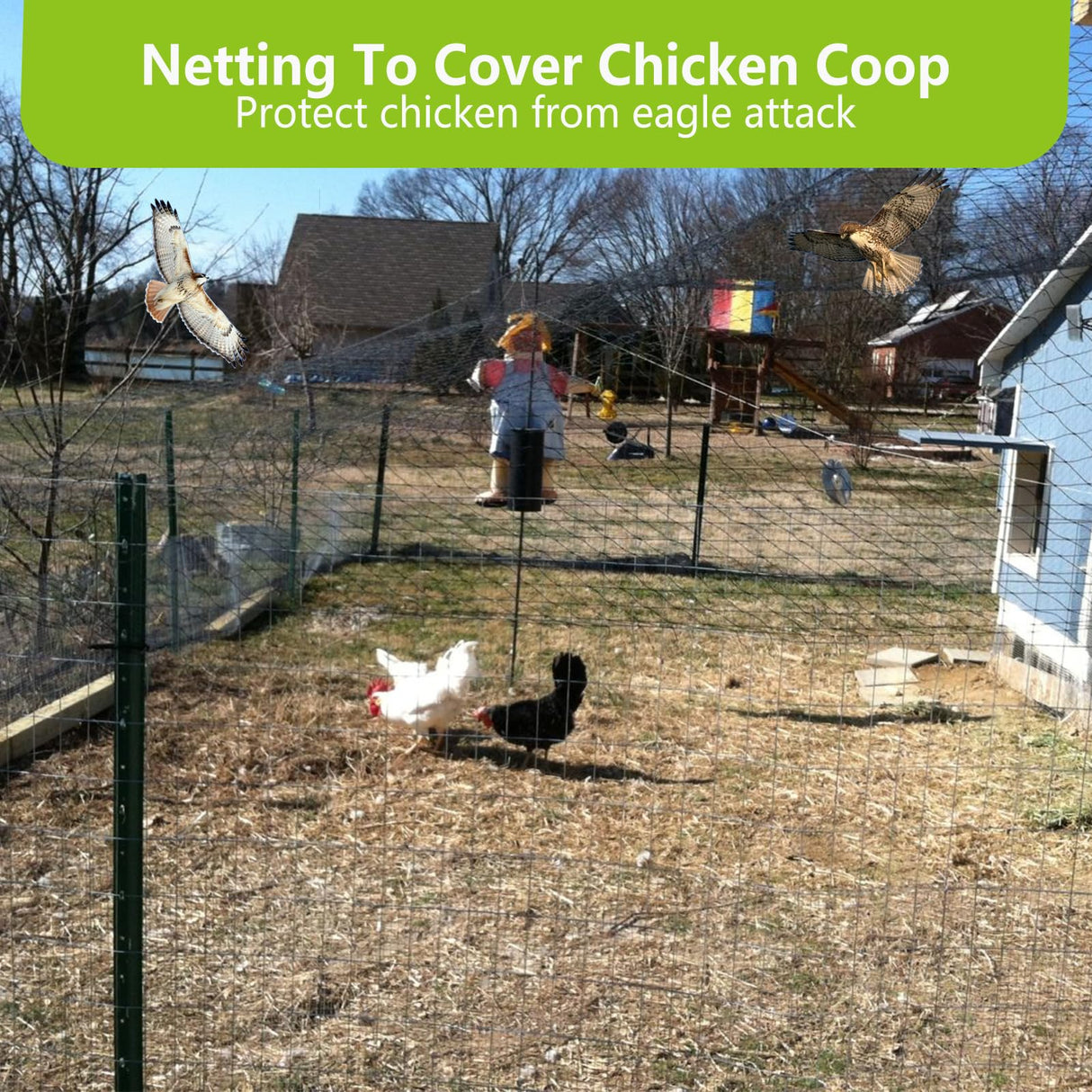 50x100ft Bird Netting for Chicken Coop, 1" Mesh Chicken Coop Netting Cover