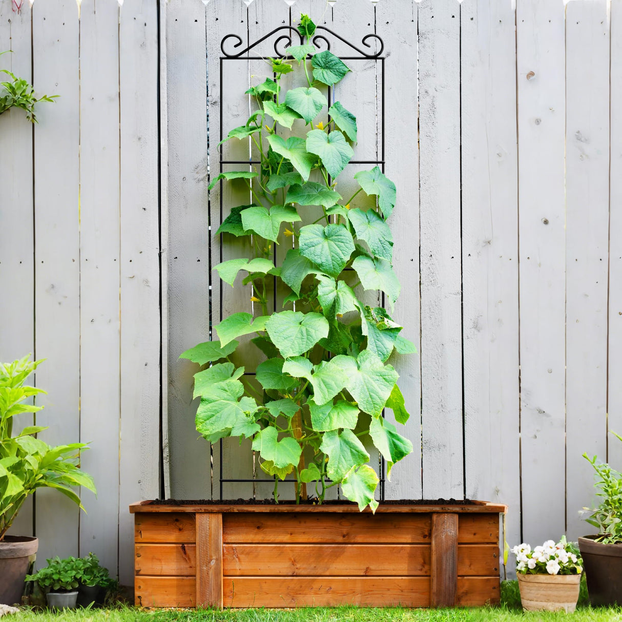 ARIFARO 4Pack 37.5'' Metal Garden Trellis for Climbing Plants Outdoor