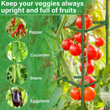 Legigo 2 Pack 57 Inch Tomato Cage for Garden, Heavy-Duty Tomato Trellis Plant Support Stakes, Adjustable Garden Trellis Plant Cage for Climbing Plants Peppers Outdoor Raised Garden Bed and Vegetables
