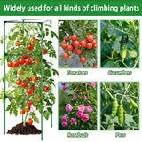 3 Pack 47x15.7x15.7Inches Square Tomato Cages for Garden,Heavy Duty Steel Tomato Trellis for Garden,Cherry Tomato Cage,Durable Tomato Plant Support for Cucumbers and Climbing Vegetables
