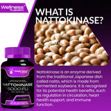 Nattokinase Supplement Capsules 5000 FU, Third-Party Tested Nattokinase – Enzymes from Japanese Natto – Daily Wellness Support – 120 Count