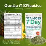 Atlantic Naturals Sea Moss 7 Day Detox Liver, Gallbladder & Kidney Cleanse - Support with Dandelion Root, Milk Thistle, Burdock Root, Red Clover, Chanca Piedra - Pineapple Flavor Drink Mix (14 oz)