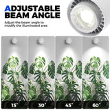 Barrina TR40 Hanging Plant Lights for Indoor Growing, 40W 5000K Full Spectrum, Adjustable Beam Angle (15°-60°), High PPFD, Spotlight Grow Light with Timer for Indoor, Large Tall Plant, Flowers, White