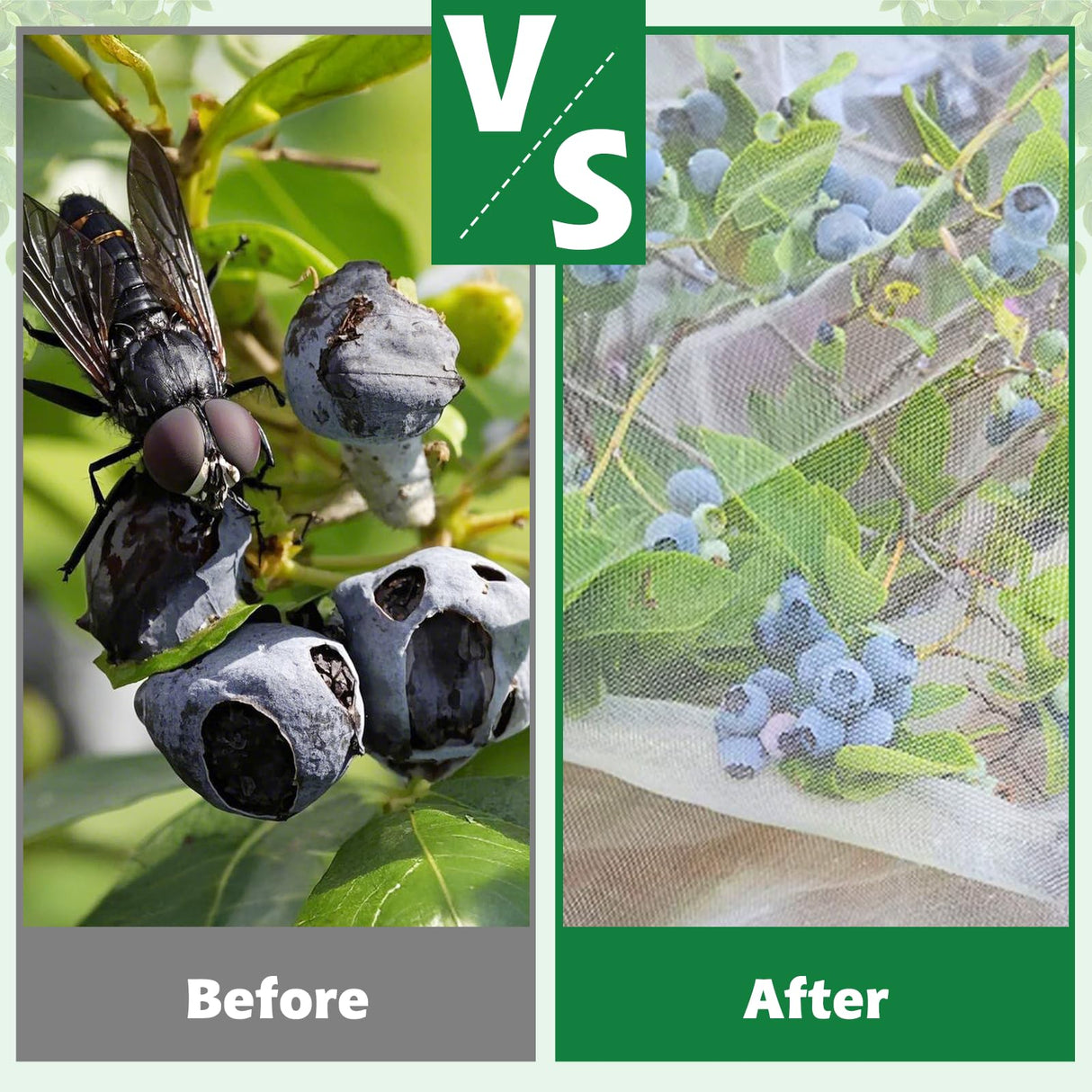 OZMI Bird Netting for Garden, 6 x 6 FT Blueberry Bush Netting Cover with Zipper, Drawstring Reusable Mesh Plant Protector for Shrubs Bush Fruit Tree Potted (2 Pack)