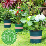 LEOBRO Plant Support, 8PCS Peony Cages and Supports, Plant Stakes for Indoor Plants, Outdoor Plants, Metal Garden Stakes, Plant Holders, Tomato Monstera Hydrangea Support Cage, 10" W x 15.8" H
