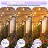 GvvooHome 24 Pack Shatterproof S14 LED Replacement Bulbs for Outdoor String Lights, 1W Equivalent to 11W Incandescent Bulb, Soft White 2200K, Dimmable, E26 Regular Medium Screw Base