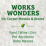 Biokleen Bac-Out Enzyme Cleaner and Stain & Odor Remover for Pet Stains, Laundry, Diapers, Wine, Carpets, & More, Eco-Friendly, Non-Toxic, Lime Scent, 128 Ounces