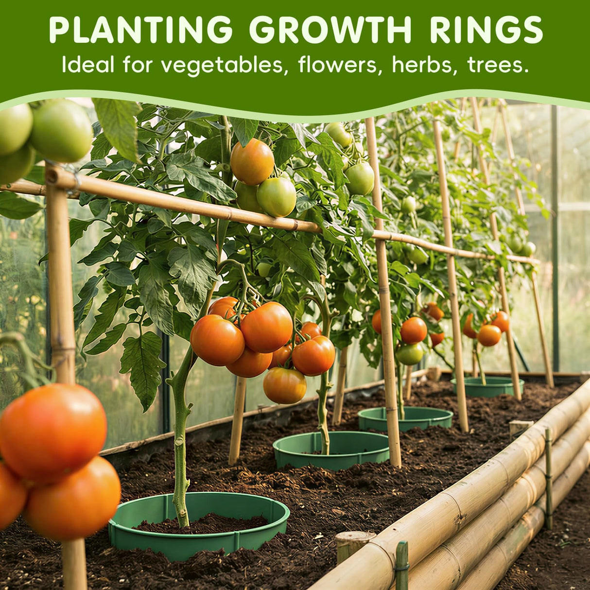 6 Set 9.6 inch Planting Grow Ring, 30Pcs DIY Plant Growing Rings