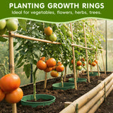 6 Set 9.6 inch Planting Grow Ring, 30Pcs DIY Plant Growing Rings